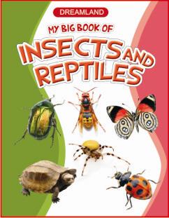 My big book of insects & reptiles